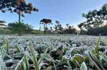 Primeira onda de frio chega ao Paraná semana que vem com termômetros perto de 0ºC